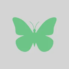 Glow in Dark Tattoos - Temporary Tattoos