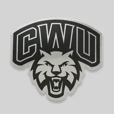Custom Metallic Paper Stickers