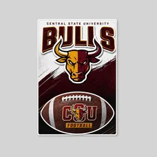 2-in-1 Car Magnet Custom 5.75 X 8.5