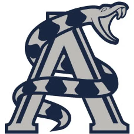 New Custom Temporary Tattoos - All Sizes    