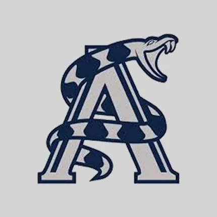 New Custom Temporary Tattoos - All Sizes    