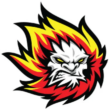 New Custom Temporary Tattoos - All Sizes 