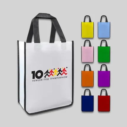 Samll Tote Shopping Bag 