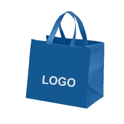Budget Large Grocery Tote Bag - BG