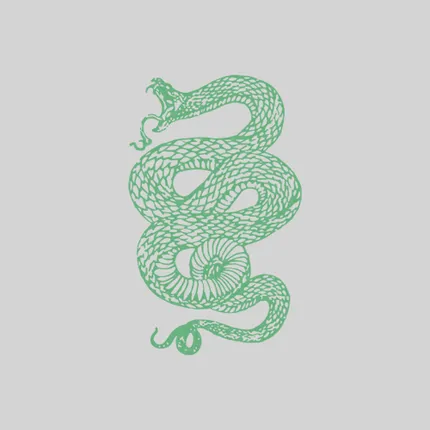 Glow in Dark Tattoos - Temporary Tattoos - 2" x 3"