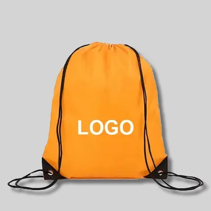 Budget Triangular Corner Backpack - 3