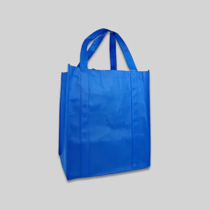 Budget Medium Grocery Totebag