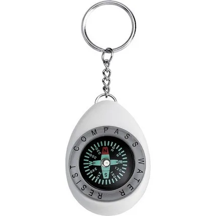 Oval Compass Key Ring