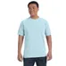 Comfort Colors 6.1 oz. Garmet-Dyed T-Shirt