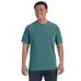 Comfort Colors 6.1 oz. Garmet-Dyed T-Shirt