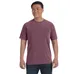 Comfort Colors 6.1 oz. Garmet-Dyed T-Shirt