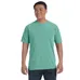 Comfort Colors 6.1 oz. Garmet-Dyed T-Shirt