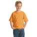 Gildan Youth Heavy Cotton 100% Cotton T-Shirt - Dark/Colors