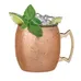 Annapurna Copper Plated Moscow Mule Mug 