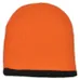 Two Color Beanie