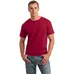 Gildan Softstyle T-Shirt - Dark/Colors