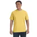 Comfort Colors 6.1 oz. Garmet-Dyed T-Shirt