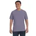 Comfort Colors 6.1 oz. Garmet-Dyed T-Shirt