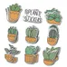 Die cut stickers-5"X5" 