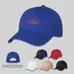 6 Panel Polyester Cap - Embroidered