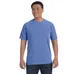 Comfort Colors 6.1 oz. Garmet-Dyed T-Shirt