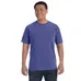 Comfort Colors 6.1 oz. Garmet-Dyed T-Shirt