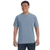 Comfort Colors 6.1 oz. Garmet-Dyed T-Shirt