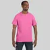 Hanes Authentic Tagless Tee - Dark/Color