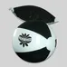 Classic Beach Ball