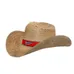 Country Western Hat with Woven Band