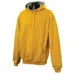Champion 9.7 oz Cotton Max Color Block Raglan Hood - Dark/Color