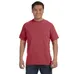 Comfort Colors 6.1 oz. Garmet-Dyed T-Shirt