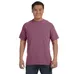 Comfort Colors 6.1 oz. Garmet-Dyed T-Shirt