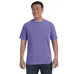 Comfort Colors 6.1 oz. Garmet-Dyed T-Shirt