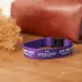 Custom Polyester Wristband With Safety Breakaways