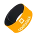 Custom Slap Bands