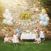 1st Birthday Balloon