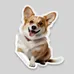 Custom Dog Stickers