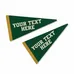 Pennant Car Sign Magnet 7.125 x 3.75