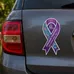Ribbon Car Sign Magnet
