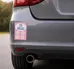 2 in 1 Oval Car Magnet with 4 Paw Prints