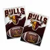 2-in-1 Car Magnet Custom 5.75 X 8.5