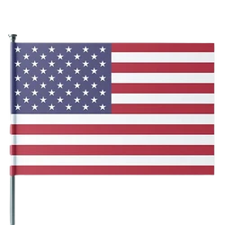 Custom Flags