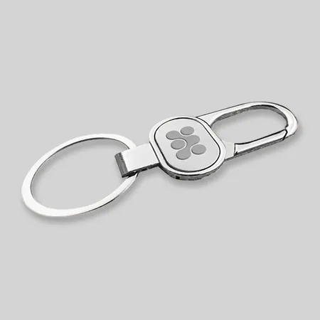 Carabiner Metal Keychains