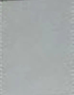 Shell Gray