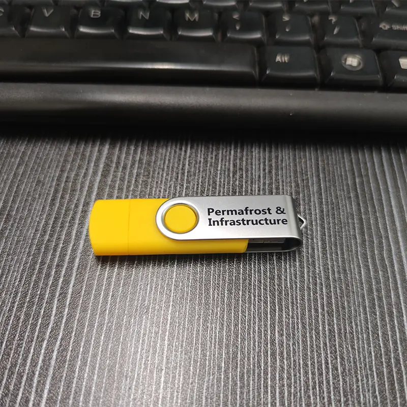Custom Glider USB customer photo 2
