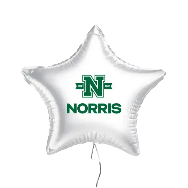 18" Star Balloons view 2