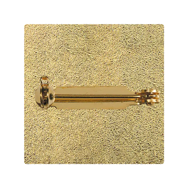 Safety Pin Clasp