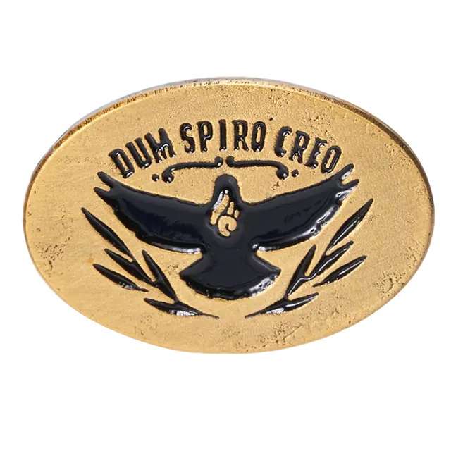 Oval Lapel Pins view 8