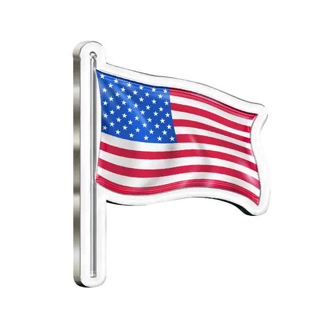 Soft Enamel Patriotic Pins view 6